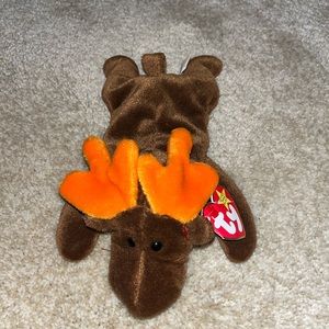 Moose beanie baby